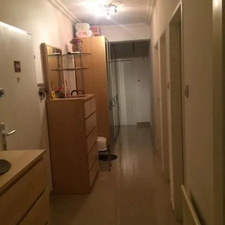 Apartment Schoene, Grosse In Wels