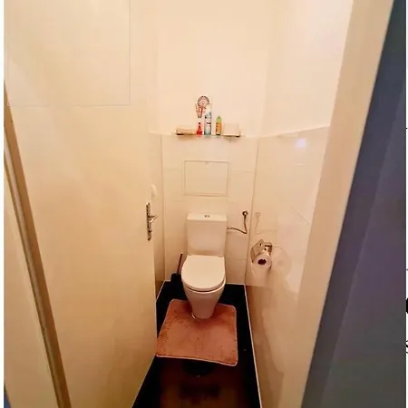 Apartment Schoene, Grosse In Wels *