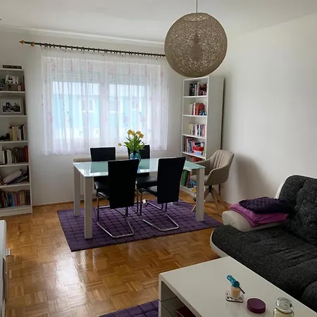 Schoene, Grosse In Wels Apartment *